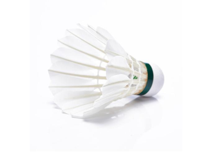 Shuttlecocks – SP x SPORT