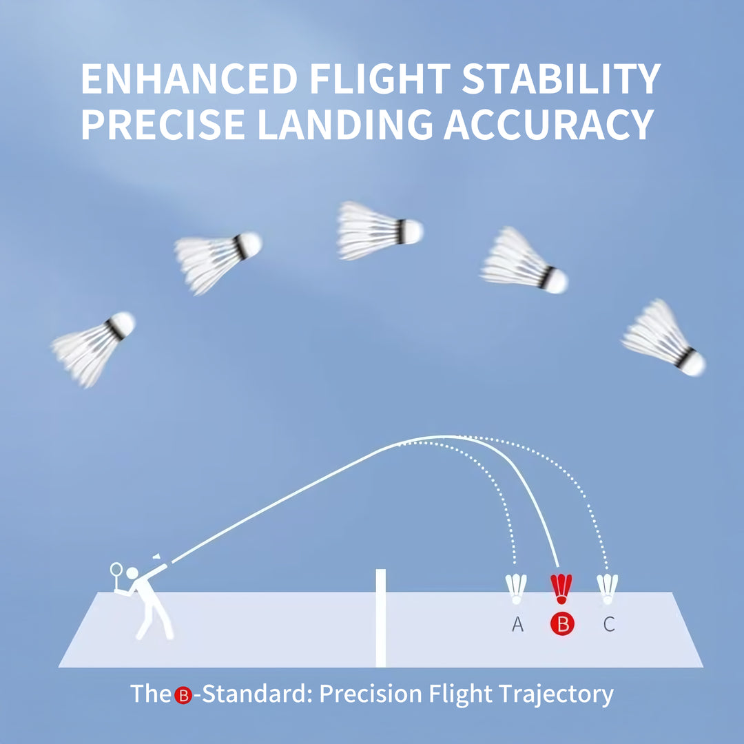 Li-Ning 12 PCS Goose Badminton Shuttlecock Competitive G500