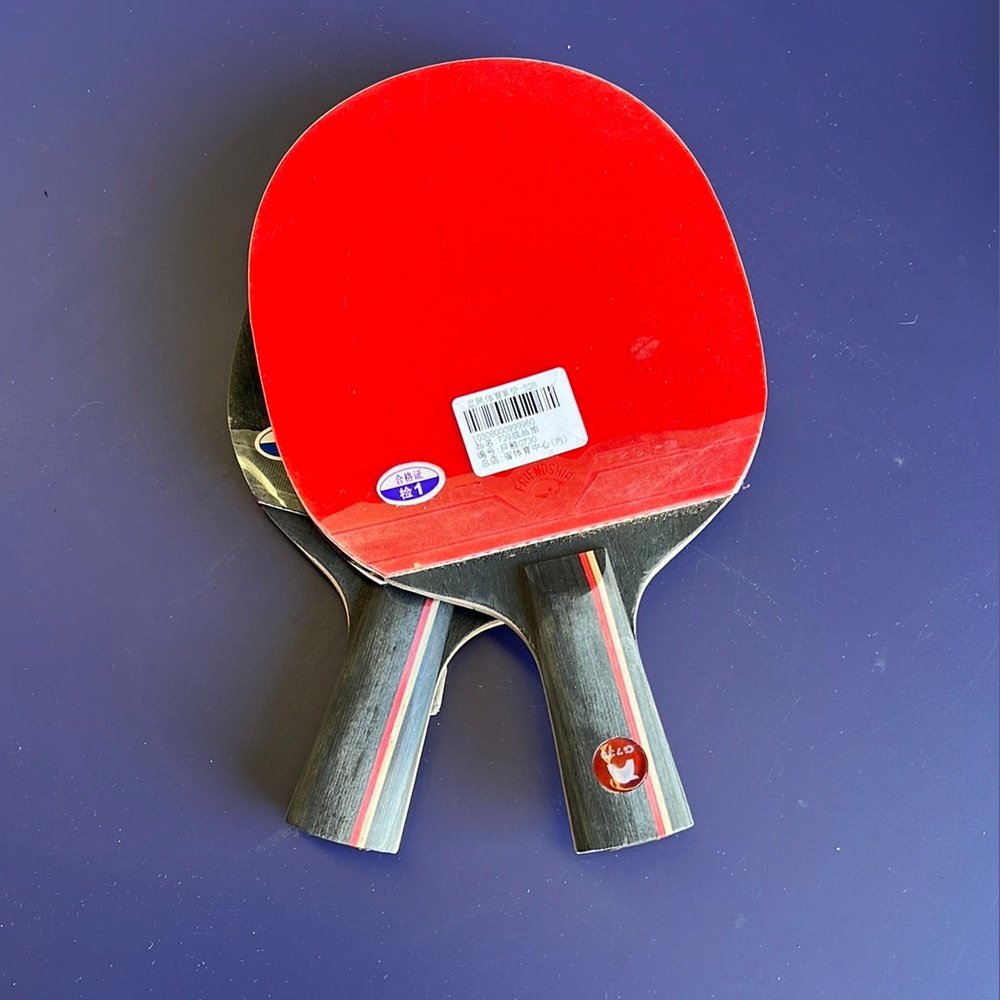 729 Giant bear G730 bat double pips in