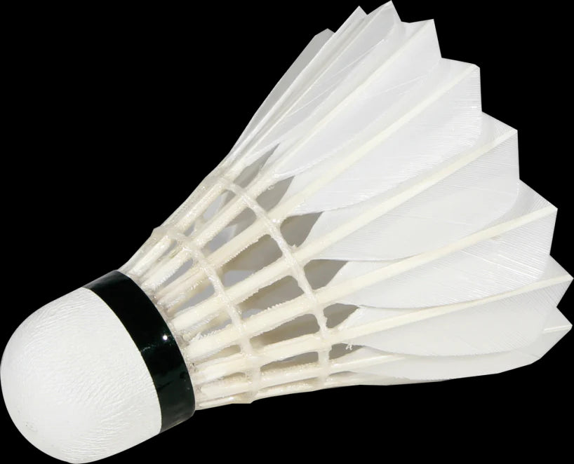 VICTOR 12 PCS MASTER ACE Goose Feather Badminton Shuttlecock