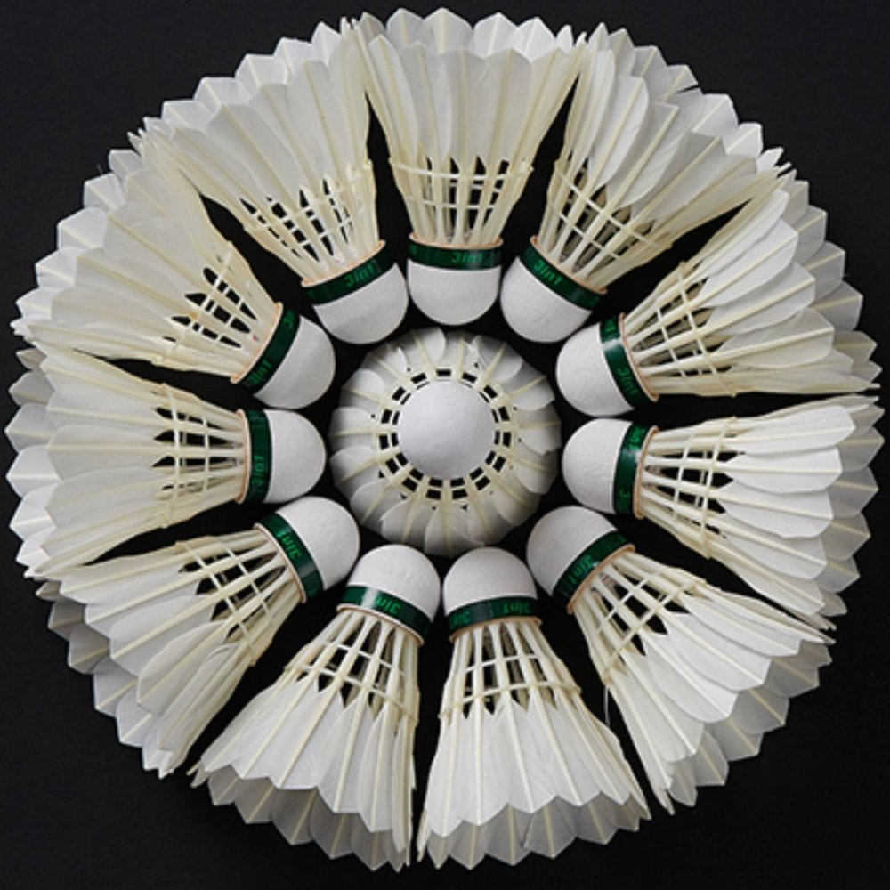 SPPHONEIX D1 Badminton Shuttlecocks Goose Feather 12pcs  Professional 3 In 1