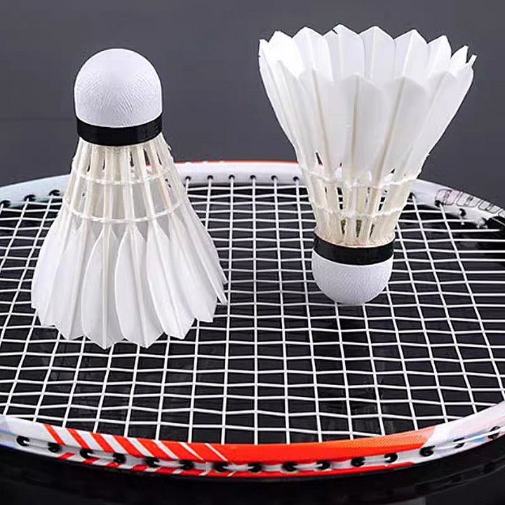 RSL 12 PCS RSL11 Ultimate Badminton Goose Feather Badminton Shuttlecock