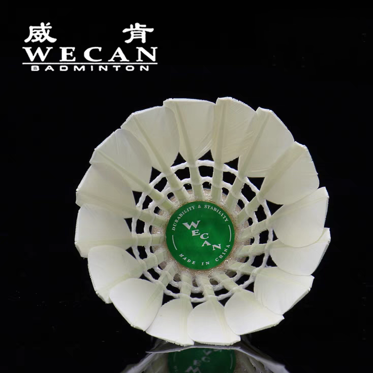 WECAN 12 PCS Green Badminton Goose Feather Badminton Shuttlecock