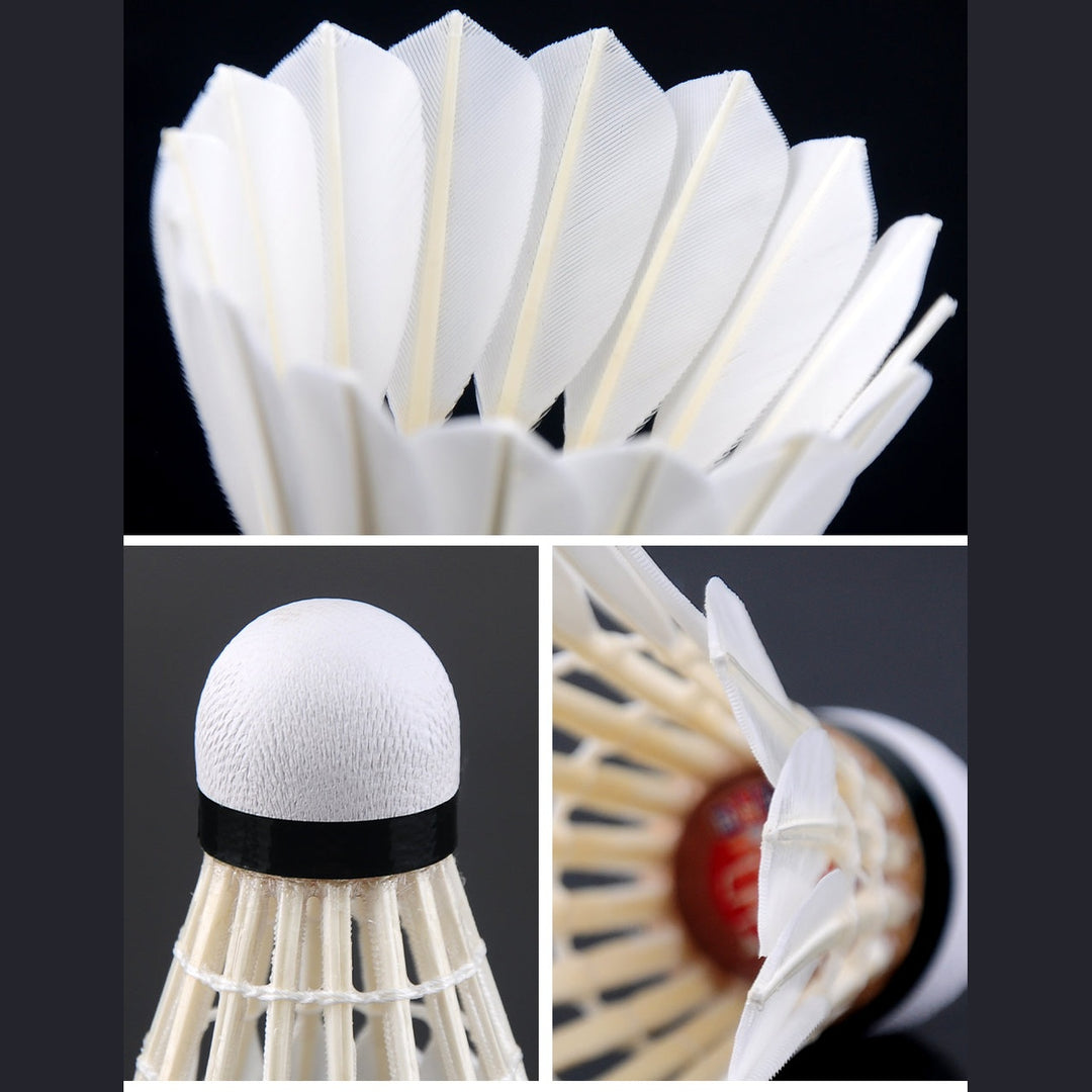 RSL 12 PCS Venus Badminton Goose Feather Badminton Shuttlecock