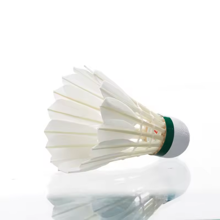 Kawasaki Team 1 Goose Feather Shuttlecock(TOP Class)