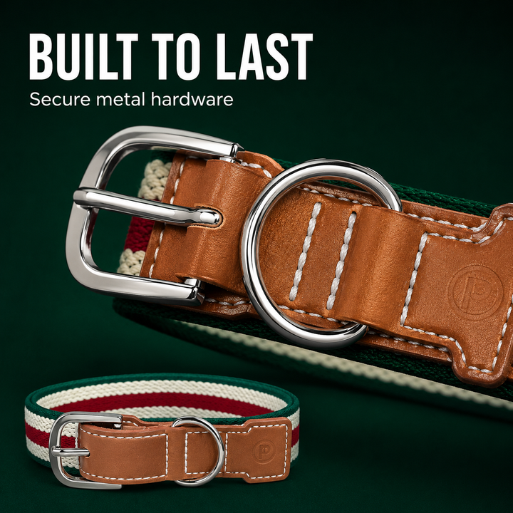Adjustable Stretch Woven Dog Collar with Leather Accents and Metal D-Ring