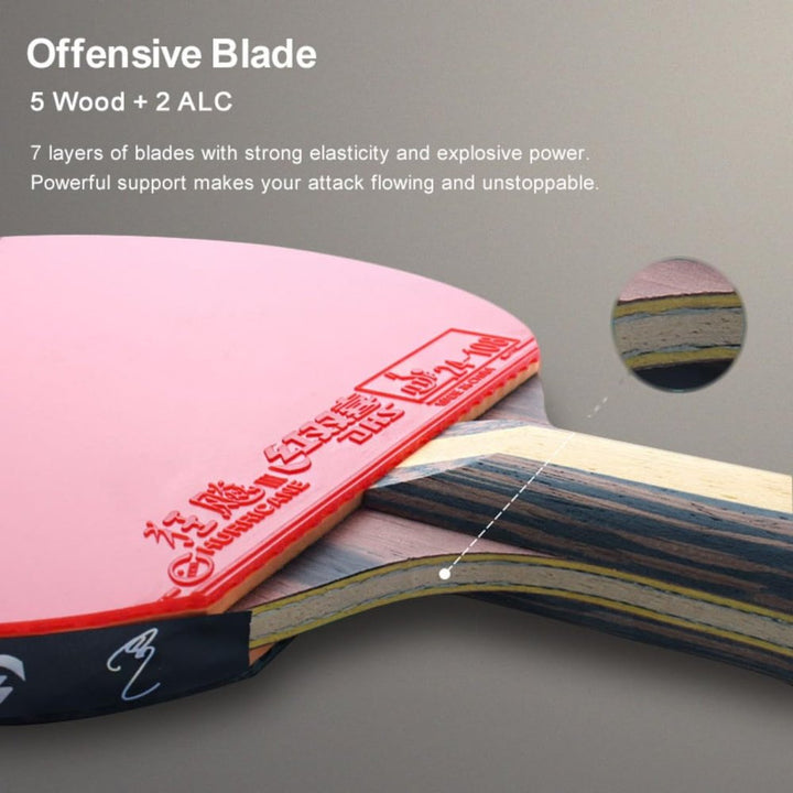 DHS 9 Star H9002,H9006 Table Tennis Bat Racket