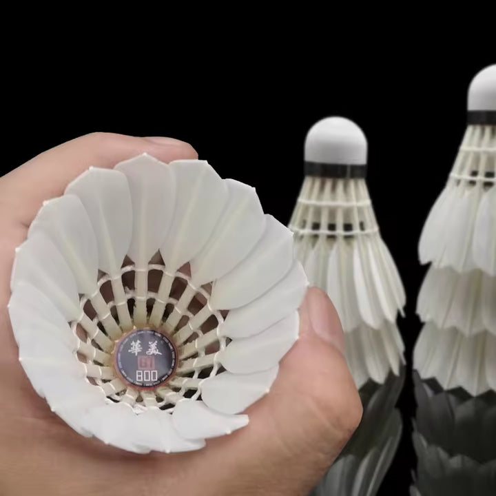 HUAMEI 12 PCS GT800 Aeroplane Goose Feather Badminton Shuttlecock