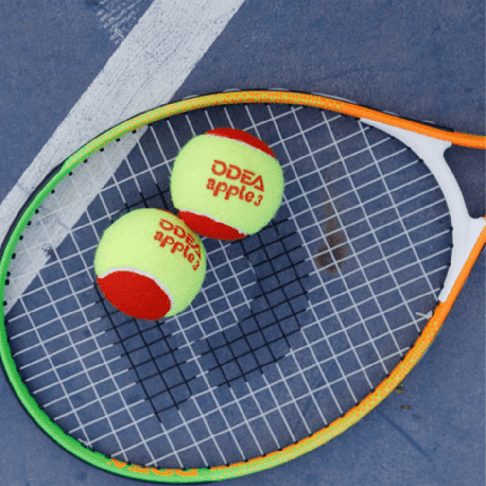 ODEA Stage 3 RED 48 PCS Children Beginners Tennis Balls Low Compression Slower Speed